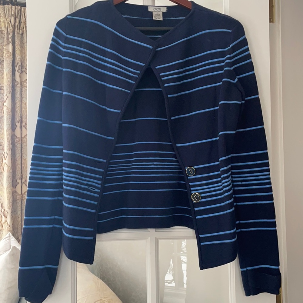 Blue Striped Blazer